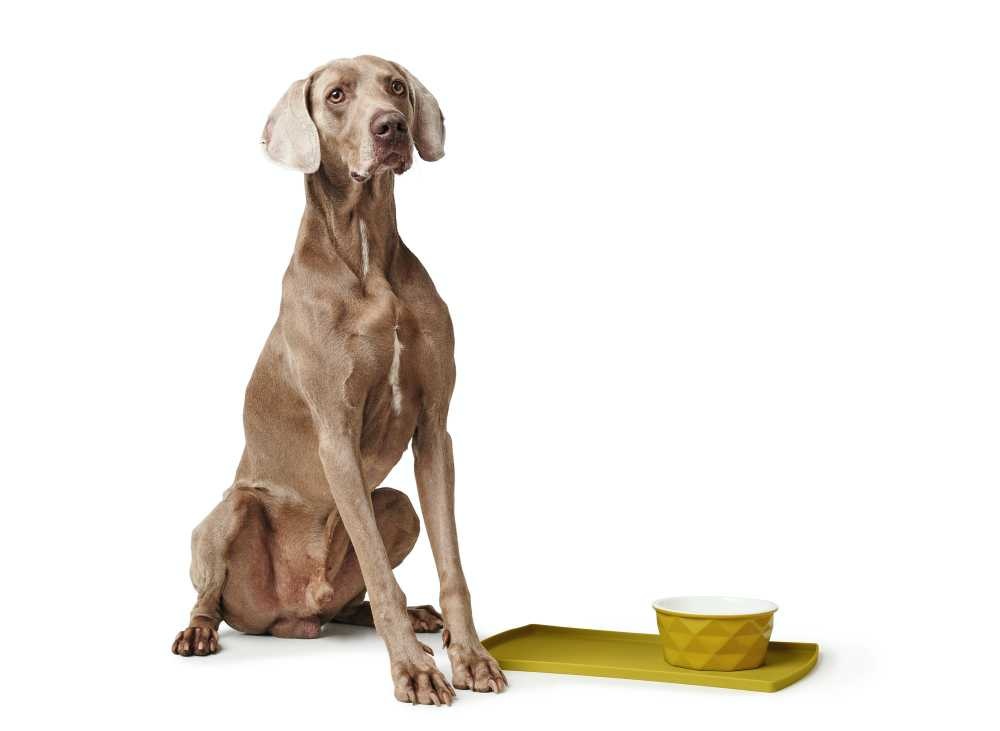 HUNTER_18618_68652_001_image_20-lpr (1)