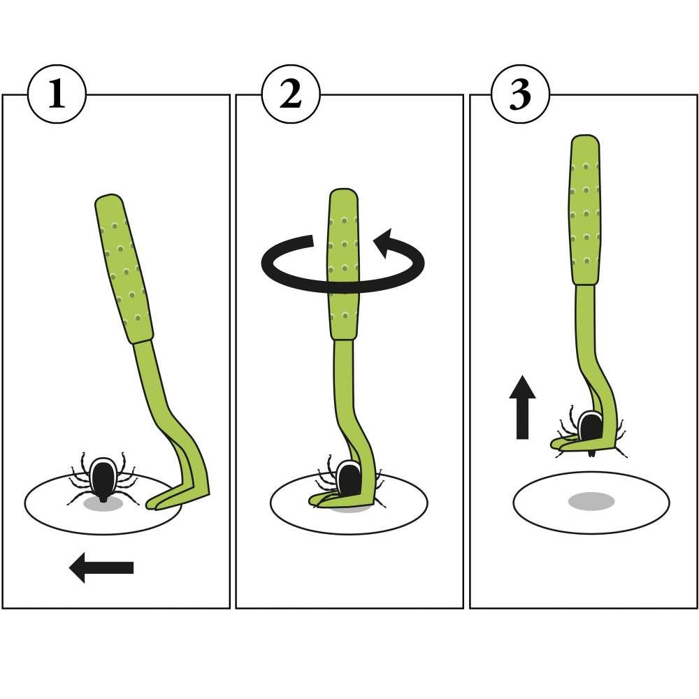 HUNTER_20216_69214_005_grafik_21-lpr