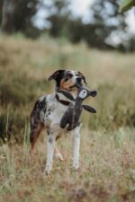 HUNTER_20652_67783_004_live_21-original