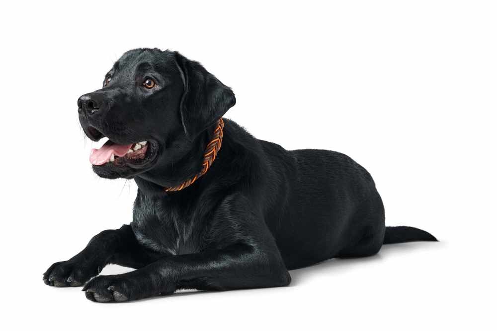 HUNTER_21490_69315_002_image_22-lpr