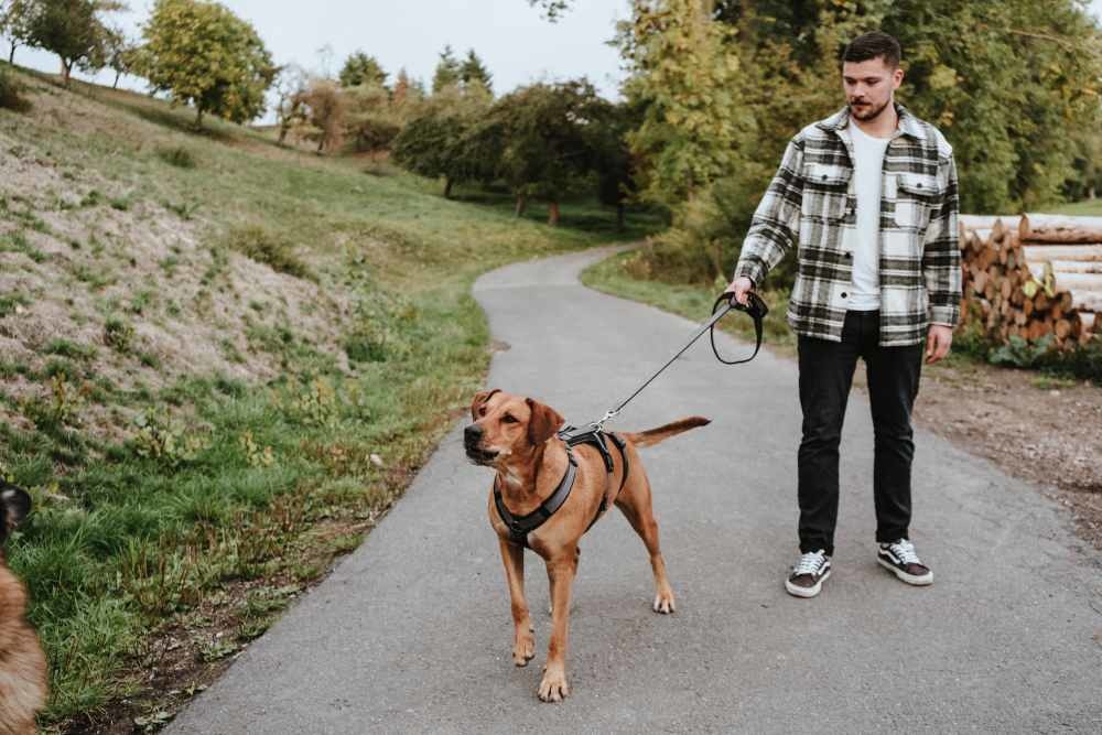 HUNTER_22467_69637_004_live_22-original