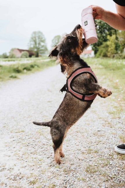 HUNTER_23689_201779_003_live_23-original