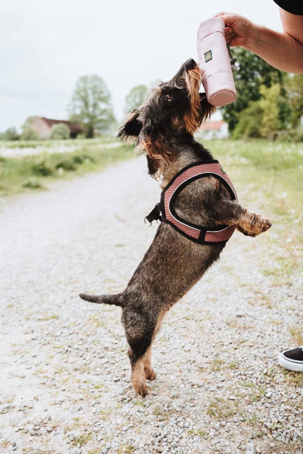 HUNTER_23689_201779_003_live_23-original