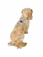 HUNTER_24082_201310_002_image_23_alpha-original