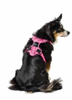 HUNTER_24410_69459_003_image_23_alpha-original