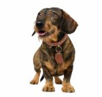 HUNTER_24547_69385_001_image_23_alpha-original