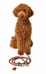 HUNTER_24570_69393_001_image_23_alpha-original