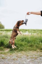 HUNTER_24585_69416_001_live_23-original