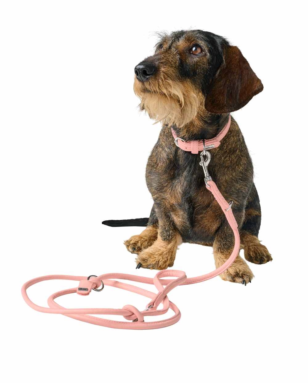 HUNTER_24849_201801_001_image_23_alpha-original