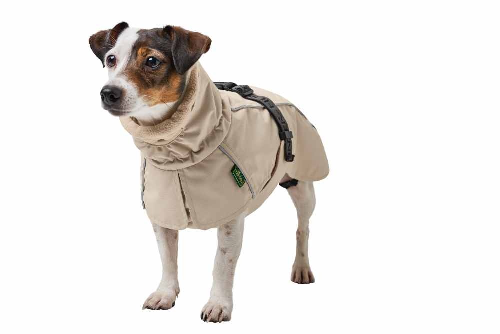 images HUNTER_25454_203407_001_image_24_alpha-original