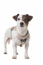 HUNTER_25596_201762_002_image_24_alpha-original