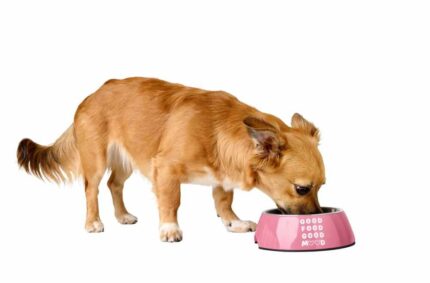 HUNTER_26536_204871_001_image_24_alpha-original