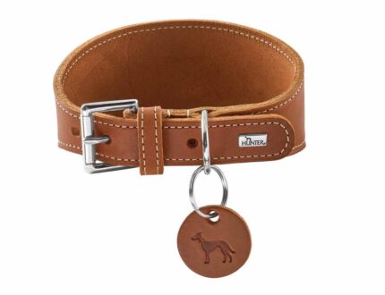 HUNTER_27229_207336_002_24-original