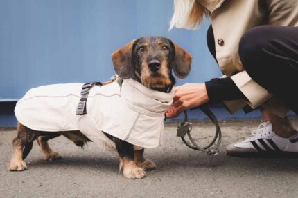 HUNTER_27610_203484_001_live_24-original