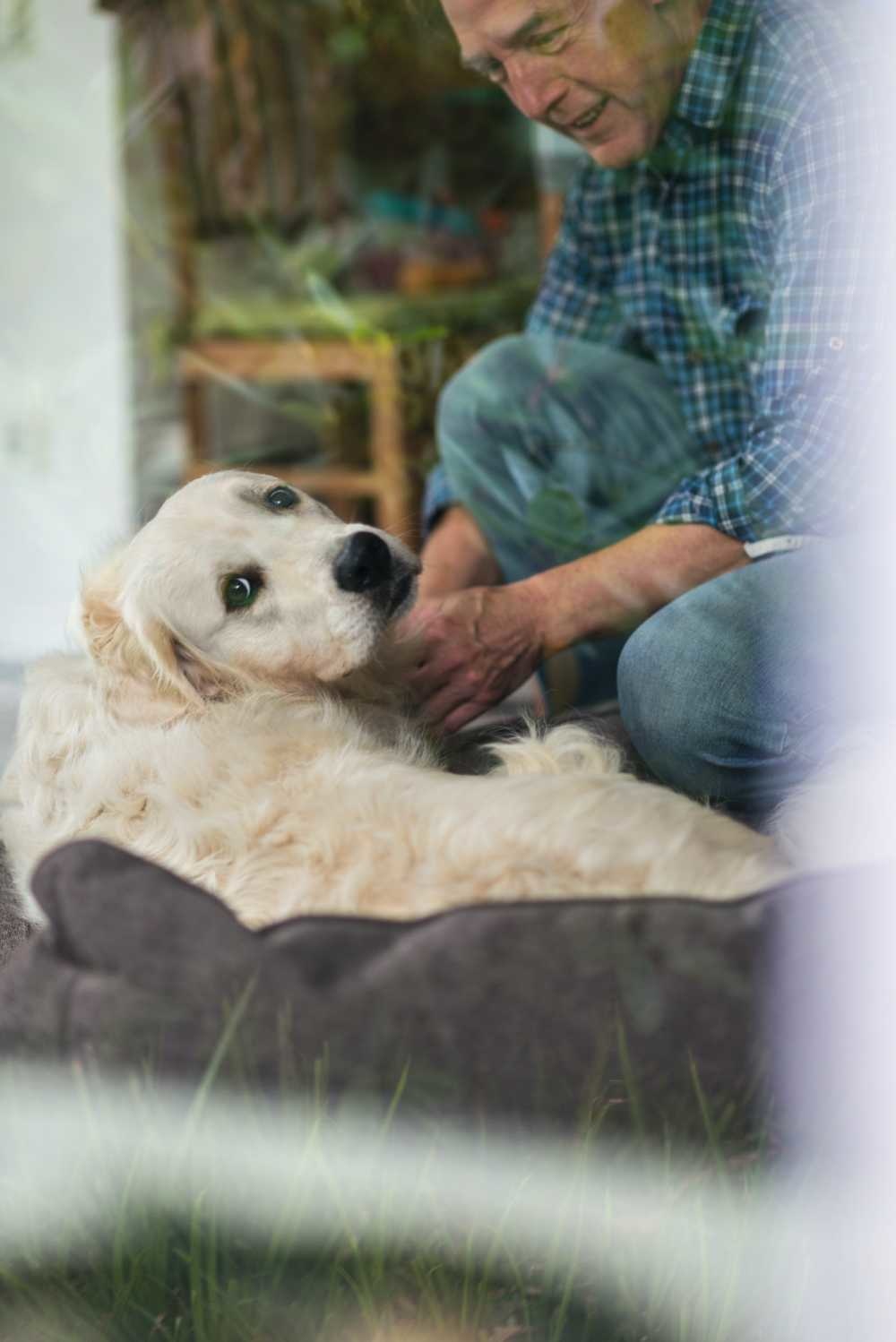 HUNTER_717_61432_live_14_001-lpr