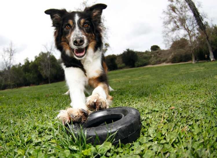 HUNTER_9119_65017_002_live_17-lpr