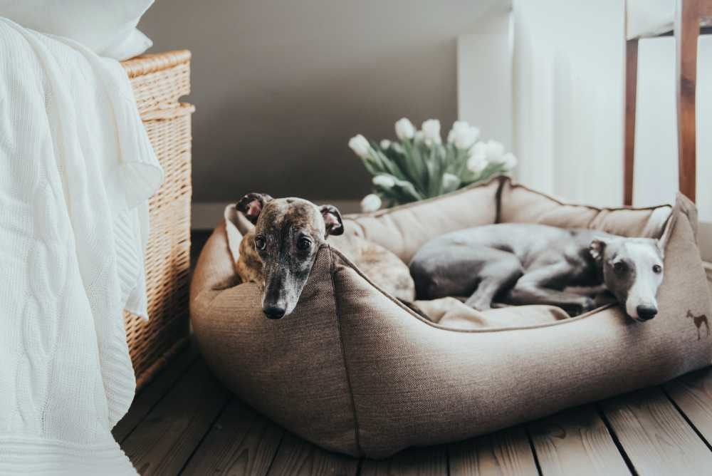 HUNTER_9229_Hunter_Mar17_80-lpr