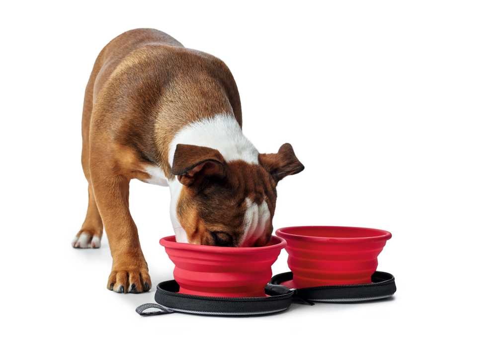 HUNTER_9645_65136_001_image_17-lpr