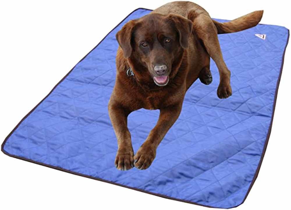 hyperkewl dog pad