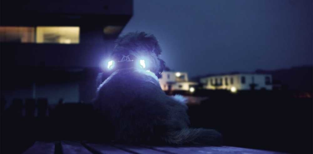 image - 2020-02-20T145036.014