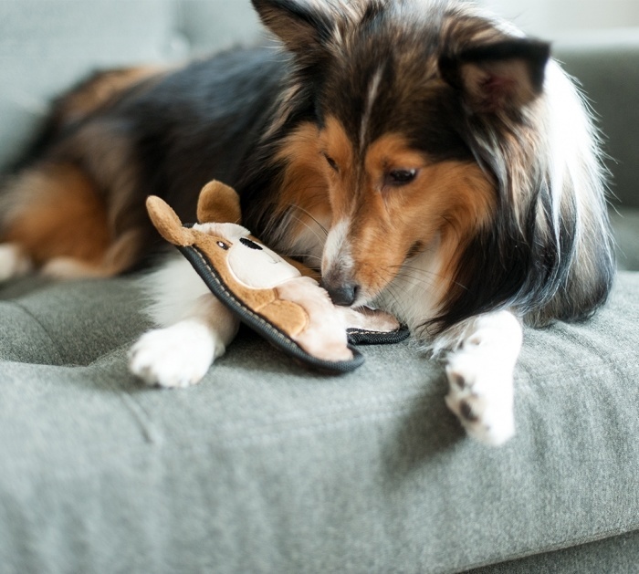 image - 2020-02-21T103228.349