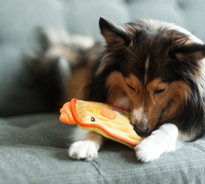 image - 2020-02-21T104829.807