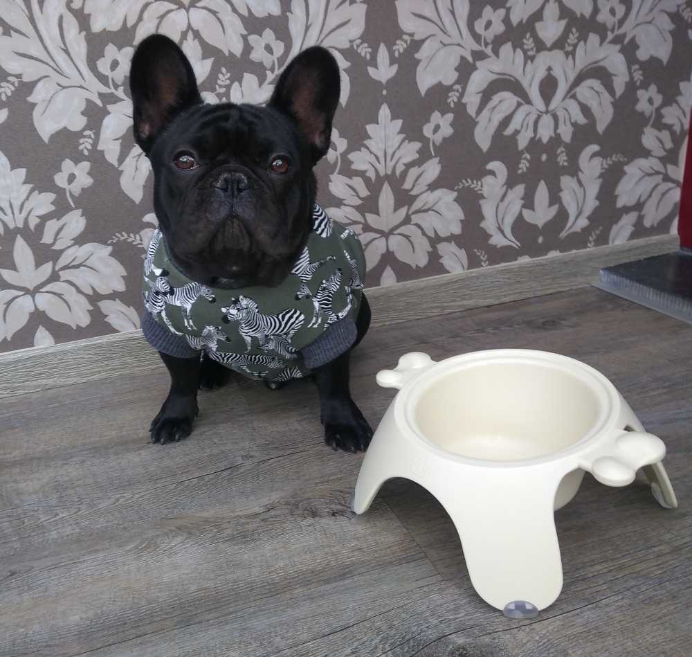 IMG_20191106_133447109