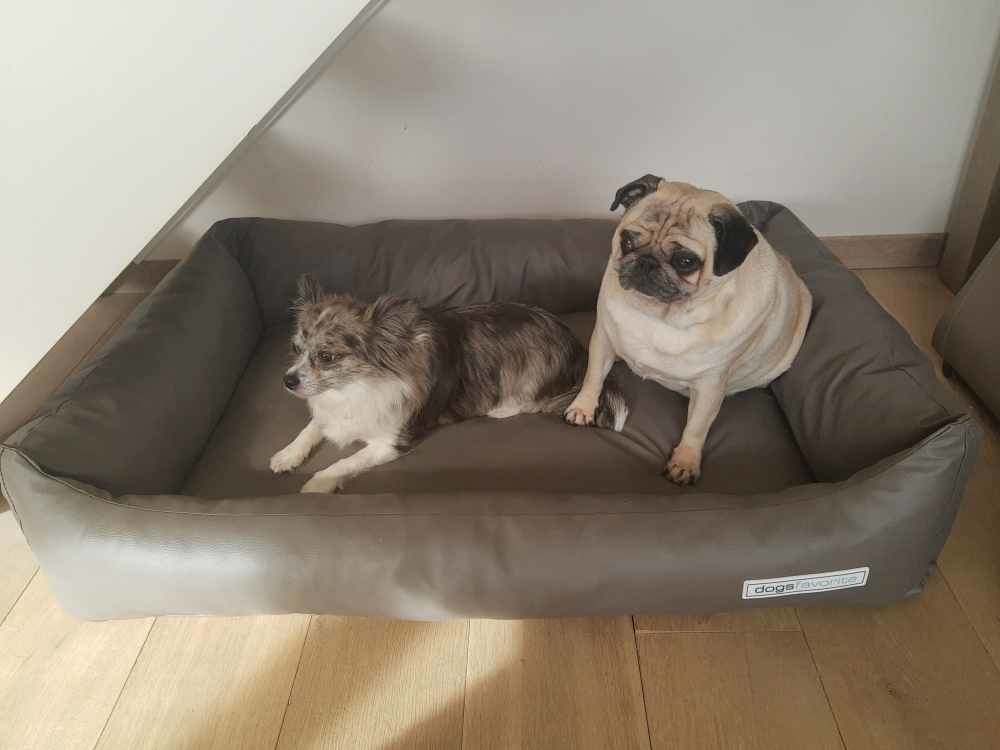 IMG_20200525_183632929