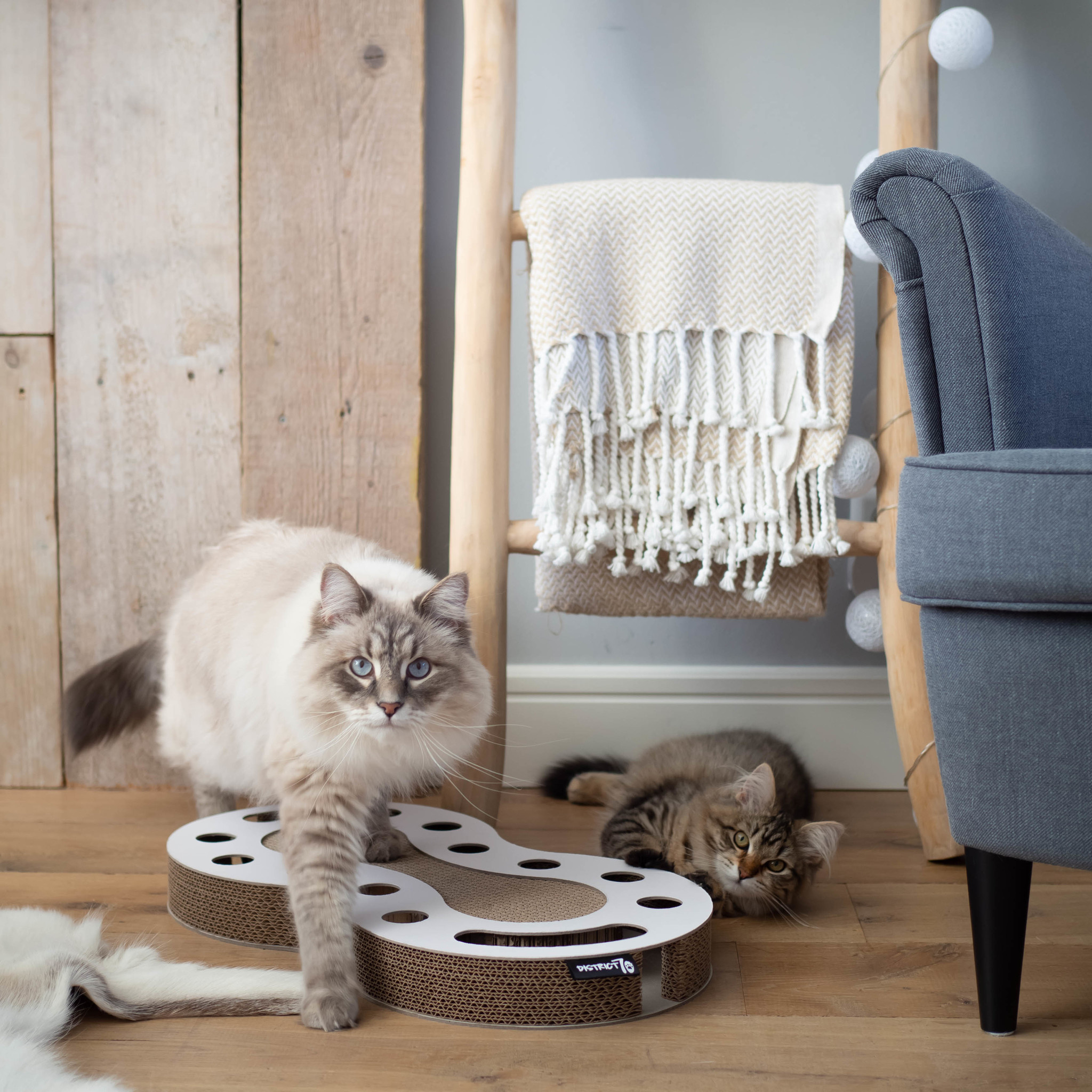 interactief-kattenspeelgoed-snake