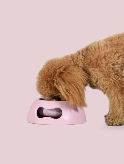 it_pappy_13_HD-1-72bcb1be-9b7d-41ae-b705-8b6cfe03c568