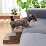 JV_Classy_PetStairs_Stone-Dog-2