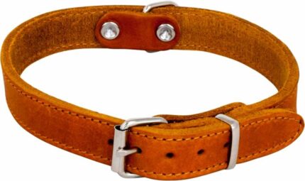 JV_GreasedLeather_Collar_Cognac