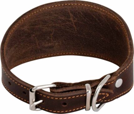 JV_GreasedLeather_WhippetCollar_Brown