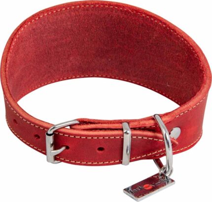 JV_GreasedLeather_WhippetCollar_Red