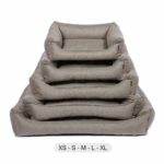 Kingston_Sandalwood_set_snObbs_Hondenmand