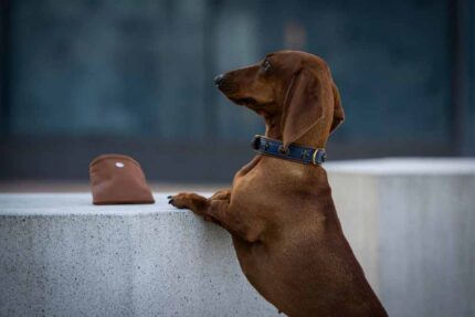 leckerli-beutel-klassik-cognac-cognac-silber~3