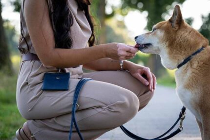 leckerli-beutel-klassik-jeans~2