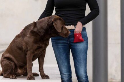 leckerli-beutel-klassik-rot~2