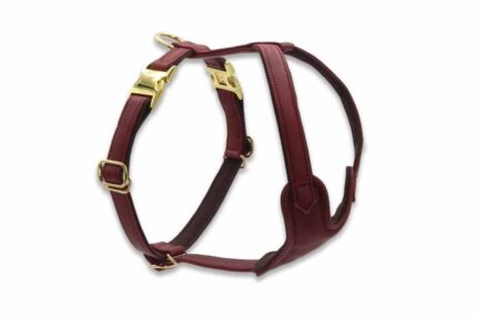 leder-hundegeschirr-burgundy-xs