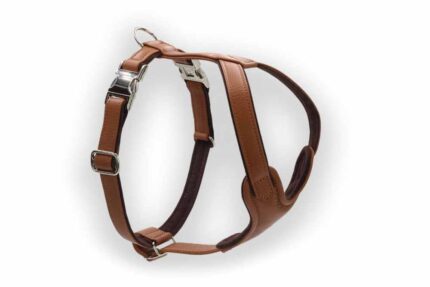 leder-hundegeschirr-cognac-xs