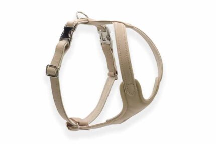 leder-hundegeschirr-elfenbein_12