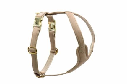 leder-hundegeschirr-elfenbein_6~2