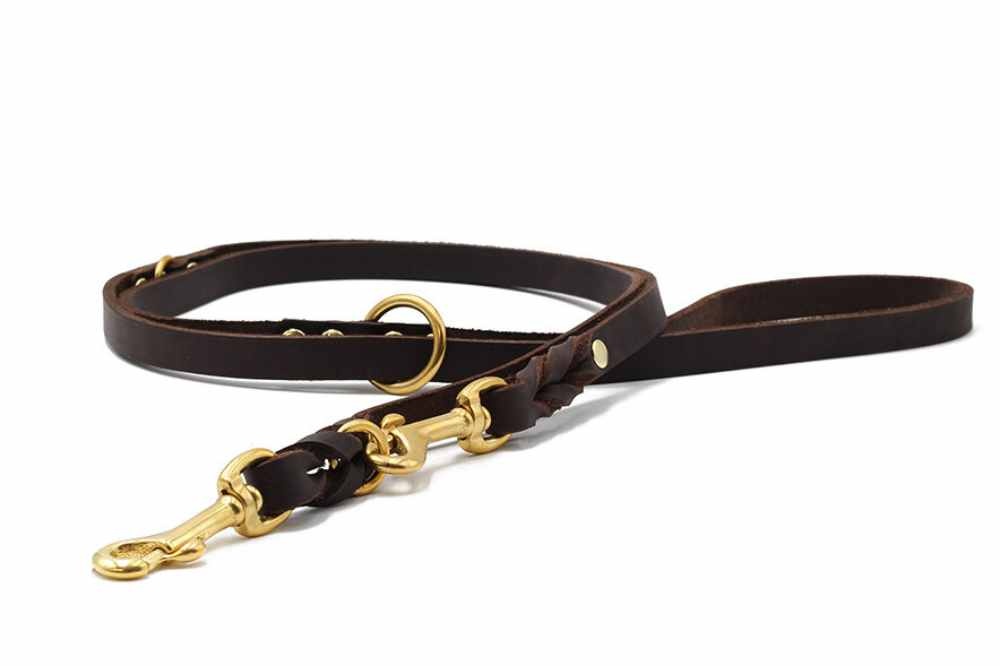 images lederleine-klassik-2m-2m-20mm-braun-gold~2