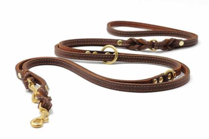 lederleine-klassik-premium-braun-cognac-gold-3m-20mm