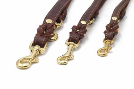 lederleine-klassik-premium-braun-cognac-gold-3m-20mm~2