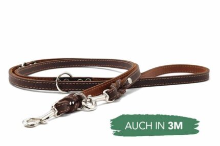 lederleine-klassik-premium-braun-cognac-silber-2m-12mm