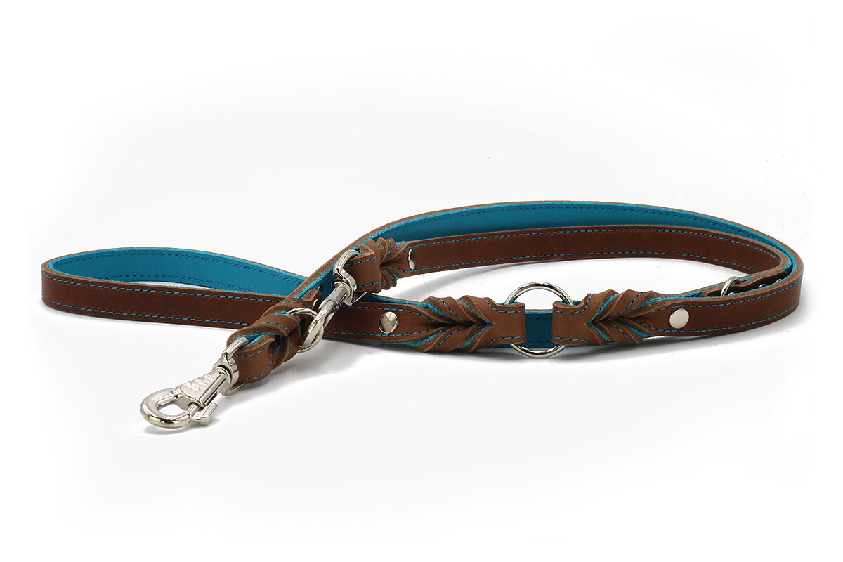 lederleine-klassik-premium-mokka-petrol-silber-2m-20mm~2