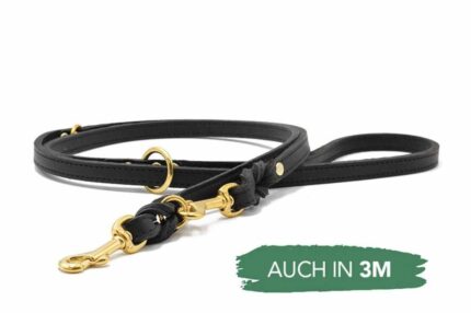 lederleine-klassik-premium-schwarz-schwarz-gold-2m-12mm~2