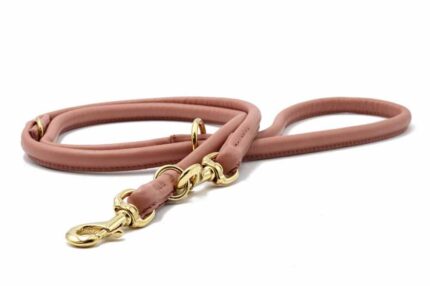 lederleine-rundgenaeht-altrosa-altrosa-gold-2m-10mm