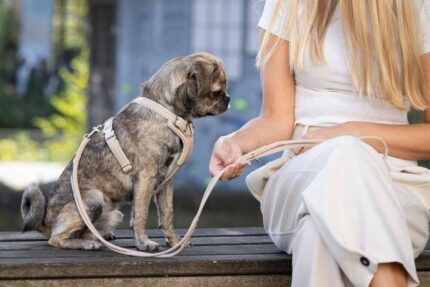 lederleine-rundgenaeht-elfenbein-2m-10mm-elfenbein-silber~7